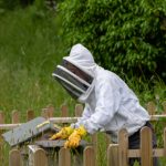 了解金沙娱乐城平台的安全性与用户保障措施 1z9v3