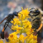 了解博狗平台的优惠活动与会员福利 839e2b