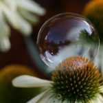 云顶赌场的美食之旅:品味多元文化的美味佳肴 f0i1w1cpn5