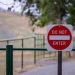 亚新222官网:如何选择最适合你的在线服务 fwb3lpa86q