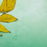 云顶赌场老虎机游戏:畅享刺激与乐趣的完美结合 ky53s