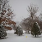 亚博娱乐娱乐的安全性与玩家隐私保护措施详解 ocah4zv