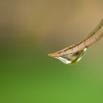 五星娱乐:探索当今最受欢迎的娱乐活动与趋势 ppsflhvq