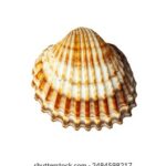 17078期体育彩票开奖公告结果已正式公布 02xde31p4