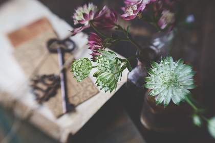 17088期最新开奖结果已公布,快来看看你中奖了吗? 17088期最新开奖结果已公布,快来看看你中奖了吗?