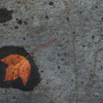 17091期神秘开奖结果即将揭晓,万众瞩目 6j4rke4g