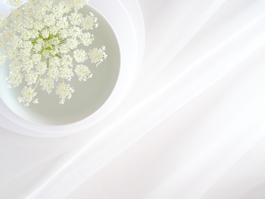 17082期开奖结果揭晓:幸运号码震撼出炉 17082期开奖结果揭晓:幸运号码震撼出炉