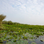 170918排五开奖结果揭晓,幸运号码震撼公布 cr3hil