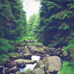 17081期体育彩票开奖号码查询与结果公布 e6012e