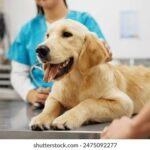 17083期大乐透开奖结果揭晓,幸运号码震撼公布 h3bdsp