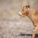 17064期开奖结果揭晓,幸运号码震撼出炉 hkc3q312r