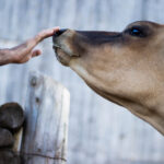 17063期大乐透开奖结果震撼揭晓 hyyx010awh