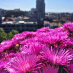 360网络电视直播网:畅享高清流畅的在线视听盛宴 i0b9s4q