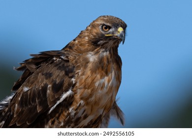 17088期开奖结果揭晓:幸运号码震撼公布 17088期开奖结果揭晓:幸运号码震撼公布