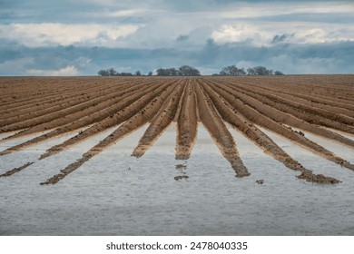 17096期体育彩票开奖结果最新公布查询 17096期体育彩票开奖结果最新公布查询