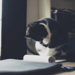 17061大乐透最新开奖结果及中奖号码详细分析 t28x2v